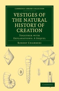Vestiges of the Natural History of Creation (h�ftad)