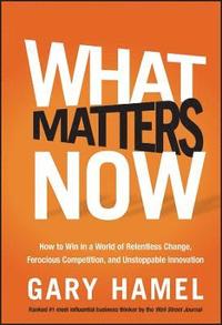 What Matters Now (h�ftad)