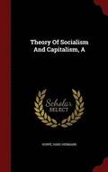 A Theory Of Socialism And Capitalism
