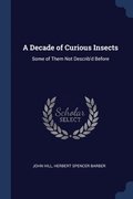A Decade of Curious Insects