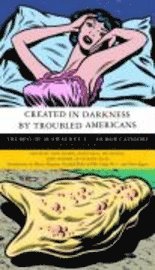 Created in Darkness by Troubled Americans: The Best of McSweeney's, Humor Category (inbunden)