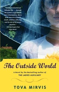 The Outside World (h�ftad)