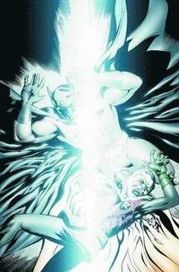 Dark Knight vs. White Knight (h�ftad)
