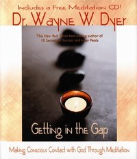 Getting in the Gap (inbunden)