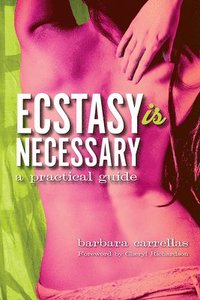 Ecstasy Is Necessary: A Practical Guide (h�ftad)