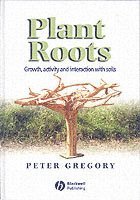 Plant Roots (h�ftad)