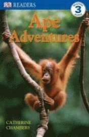 Ape Adventures (h�ftad)