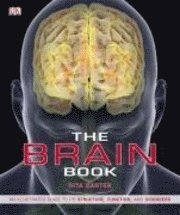 The Brain Book (h�ftad)