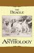 The Beagle - A Dog Anthology (A Vintage Dog Books Breed Classic)