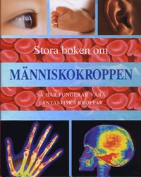 Stora boken om m�nniskokroppen : s� h�r fungerar v�ra fantastiska kroppar (inbunden)