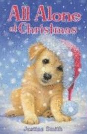 All Alone at Christmas (kartonnage)