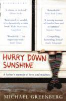 Hurry Down Sunshine (h�ftad)