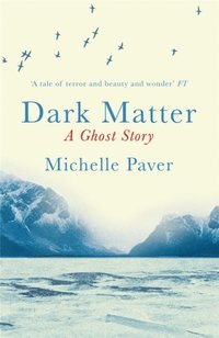 Dark Matter (inbunden)