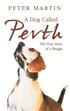 Dog called Perth - The Voyage of a Beagle