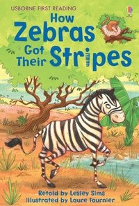 How Zebras Got Their Stripes (inbunden)