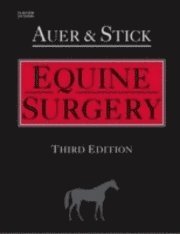Equine Surgery (inbunden)