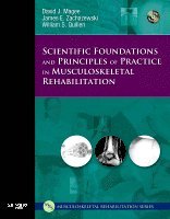 Scientific Foundations and Principles of Practice in Musculoskeletal Rehabilitation (inbunden)