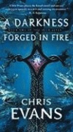 A Darkness Forged in Fire (pocket)