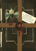 Arthur Spiderwick's Field Guide to the Fantastical World Around You (kartonnage)