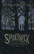 The Spiderwick Chronicles: The Completely Fantastical Edition: The Field Guide; The Seeing Stone; Lucinda's Secret; The Ironwood Tree; The Wrath of Mu (inbunden)