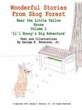 Wonderful Stories From Skog Forest Near the Little Yellow House Volume 1
