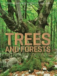 Trees and Forests: Wild Wonders of Europe (inbunden)