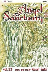 Angel Sanctuary: v. 13 (h�ftad)