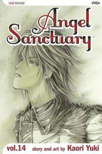 Angel Sanctuary: v. 14 (h�ftad)