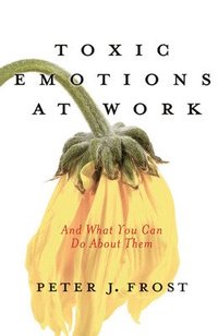 Toxic Emotions at Work and What You Can Do About Them (h�ftad)