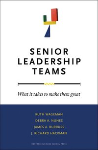 Senior Leadership Teams (inbunden)