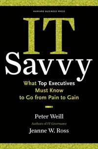 IT Savvy (inbunden)