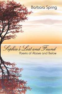 Sophia's Lost and Found (h�ftad)