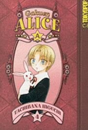 Gakuen Alice: v. 4 (h�ftad)
