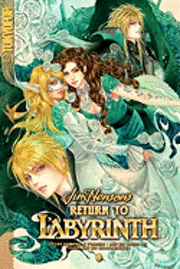 Return to Labyrinth: v. 4 (h�ftad)