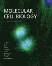Molecular Cell Biology (inbunden)