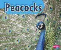 Peacocks (h�ftad)