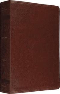 Study Bible (inbunden)