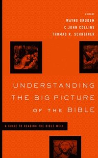 Understanding the Big Picture of the Bible (h�ftad)