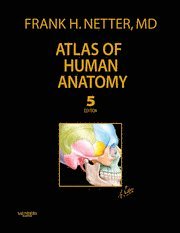 Atlas of Human Anatomy, Professional Edition (inbunden)