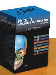 Netter's Anatomy Flash Cards ()
