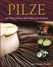 Pilze (inbunden)