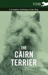The Cairn Terrier - A Complete Anthology of the Dog -