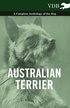 Australian Terrier - A Complete Anthology of the Dog -