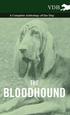 The Bloodhound - A Complete Anthology of the Dog -