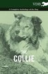 The Collie - A Complete Anthology of the Dog -