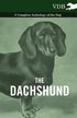 The Dachshund - A Complete Anthology of the Dog -