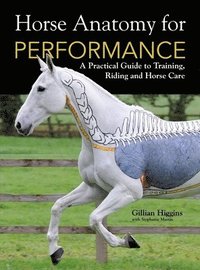 Horse Anatomy for Performance (inbunden)