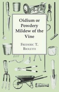 Oidium or Powdery Mildew of the Vine (h�ftad)