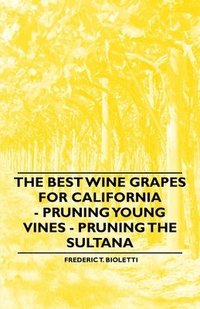 The Best Wine Grapes for California - Pruning Young Vines - Pruning the Sultana (h�ftad)