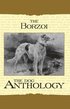 Borzoi: The Russian Wolfhound - A Dog Anthology (A Vintage Dog Books Breed Classic)